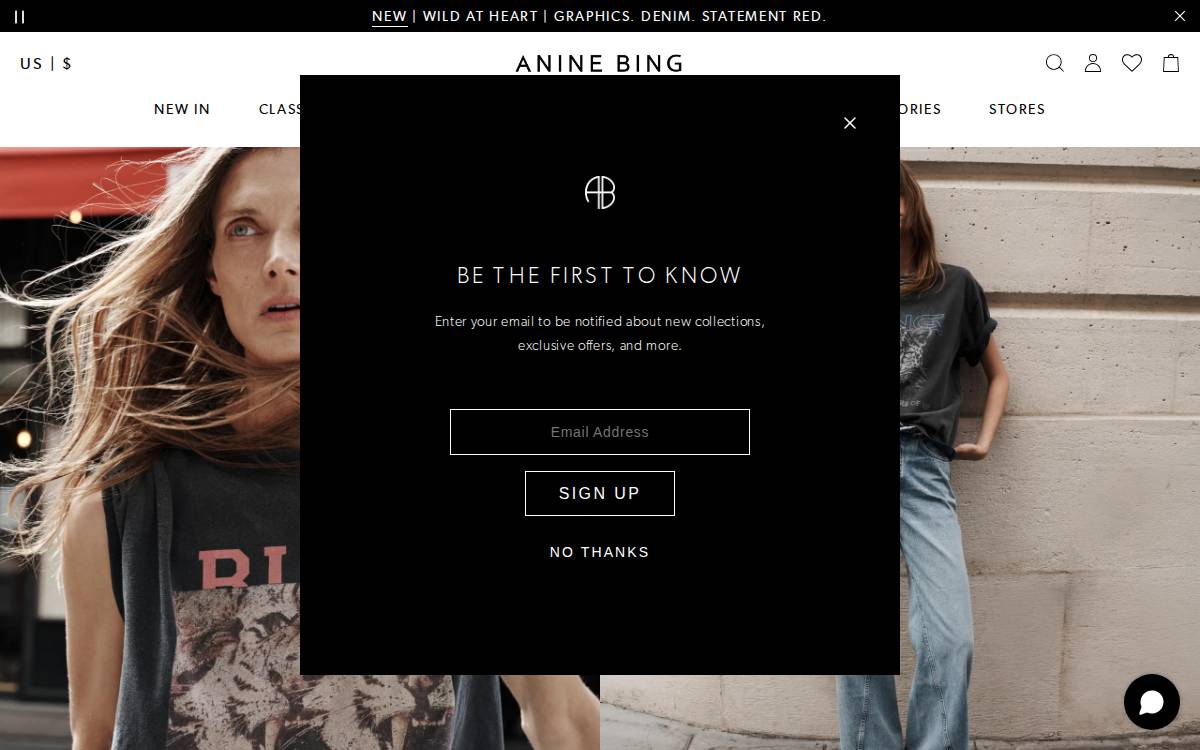 Anine Bing website preview