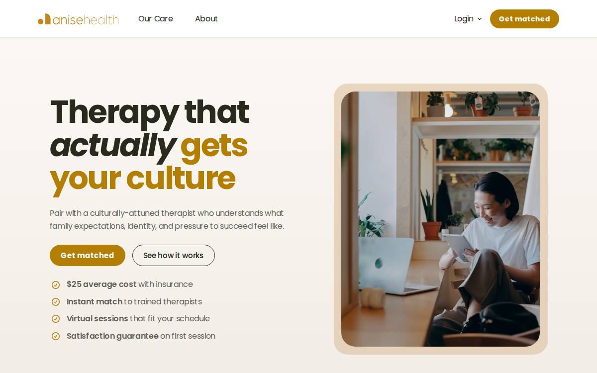Anise website preview