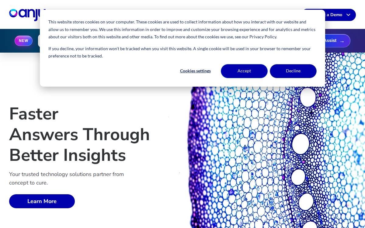 Anju Software website preview
