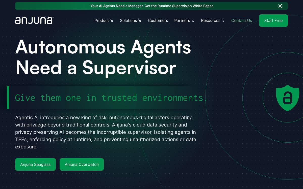 Anjuna website preview