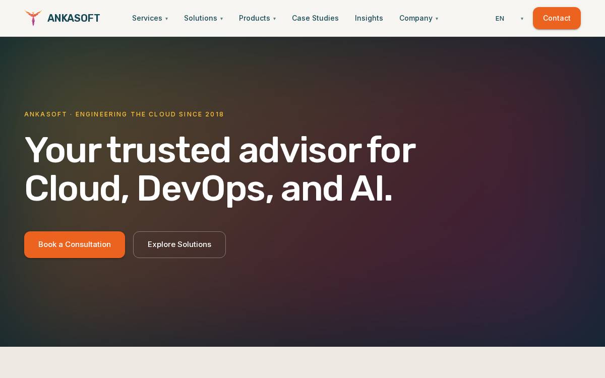 ANKASOFT website preview