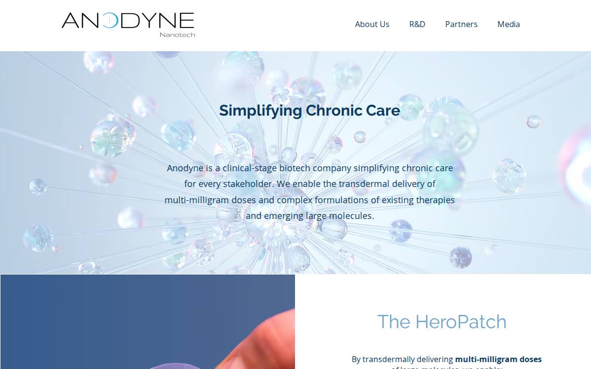 Anodyne website preview