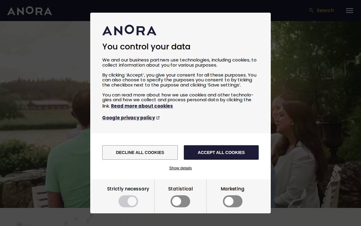 Anora website preview