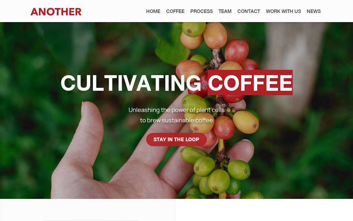 Anotherfood website preview