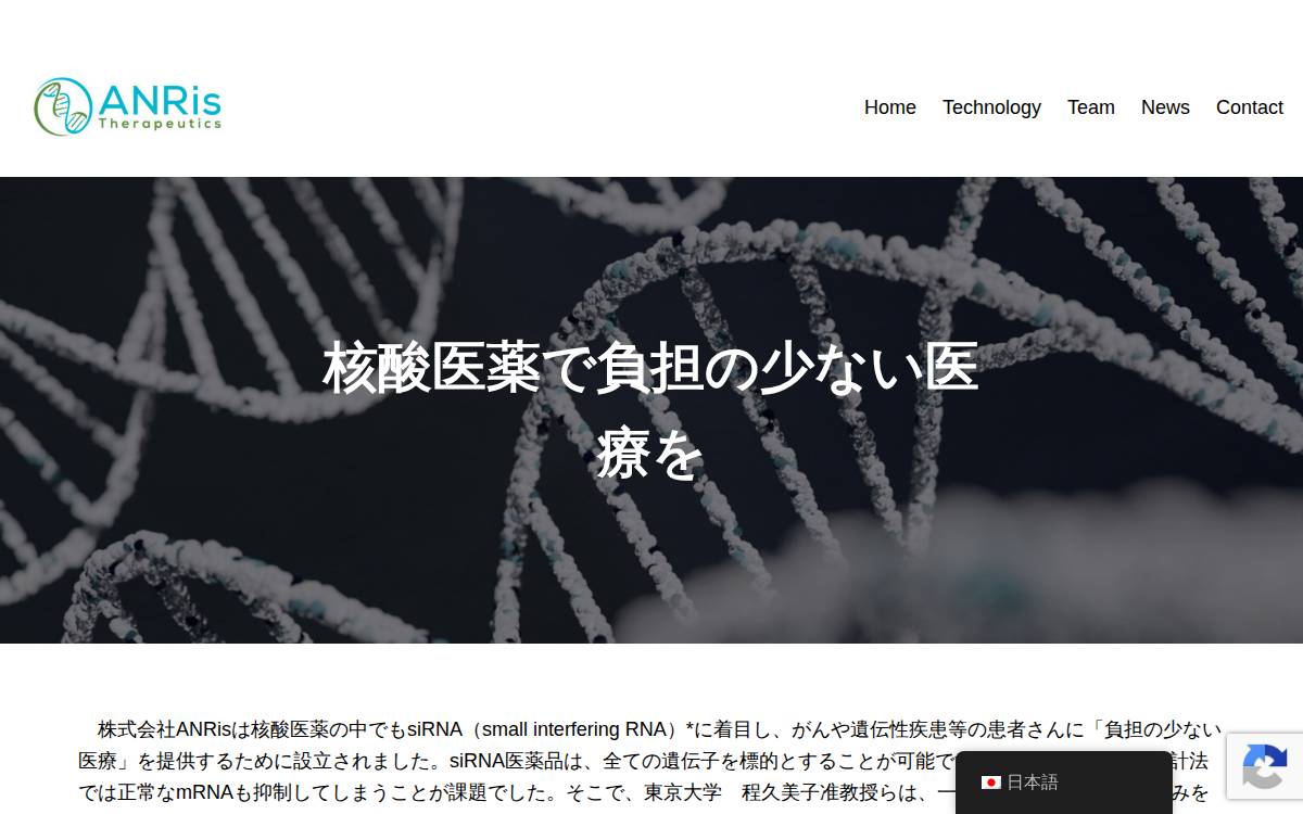 Anris Inc website preview
