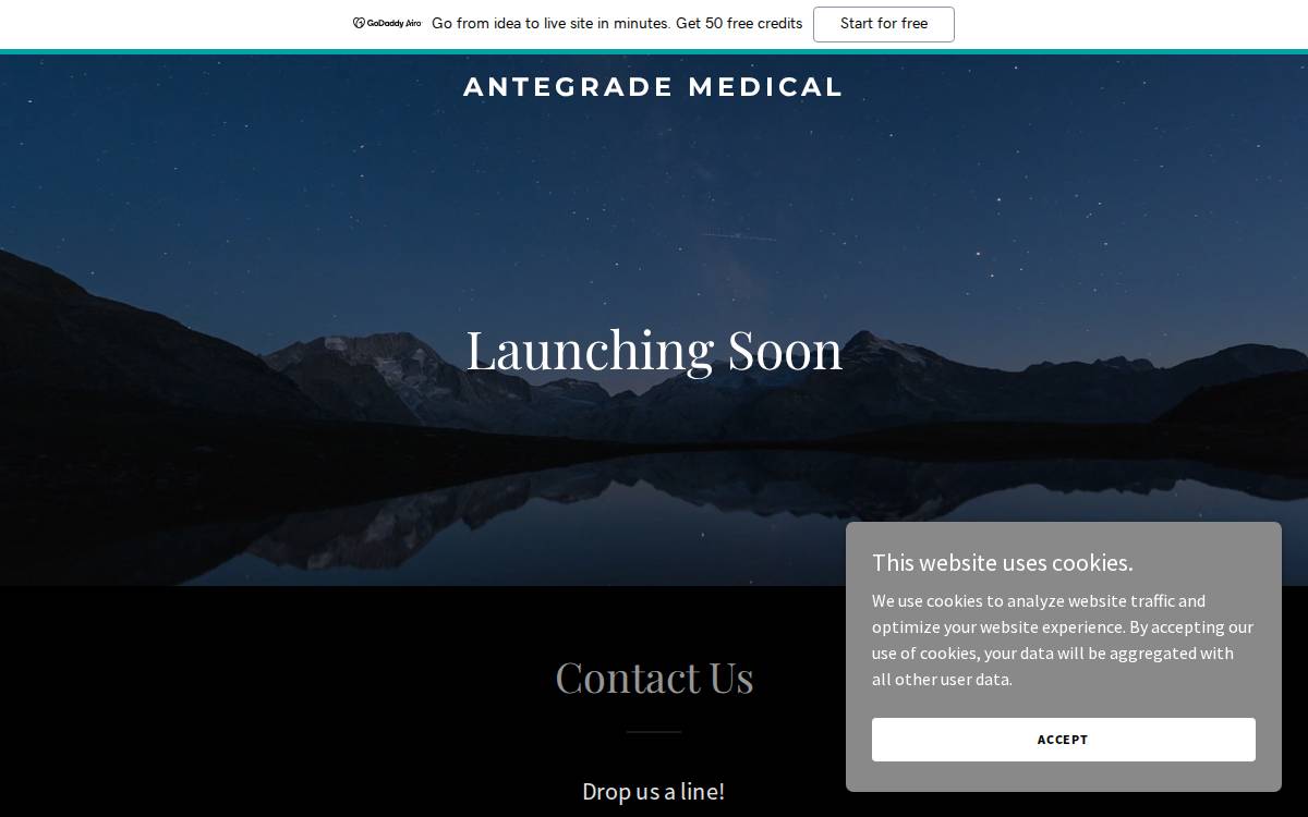 Antegrade Medical Inc website preview