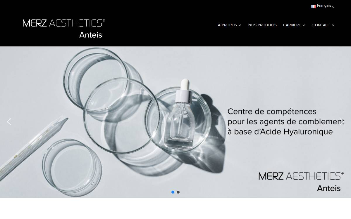 Anteis website preview