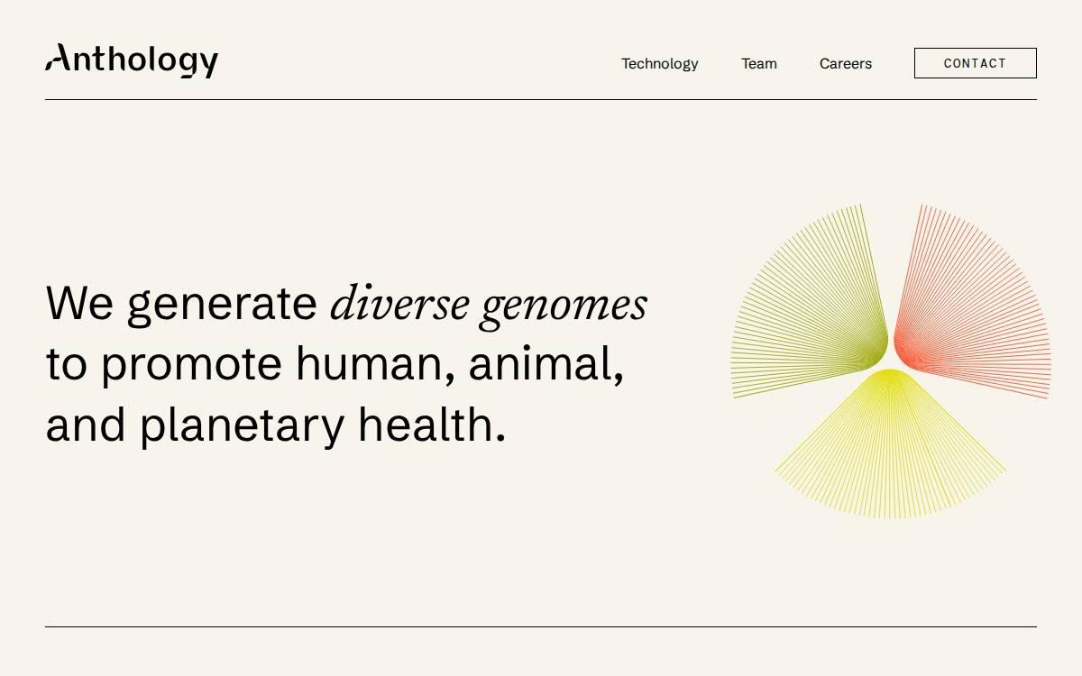 Anthology website preview