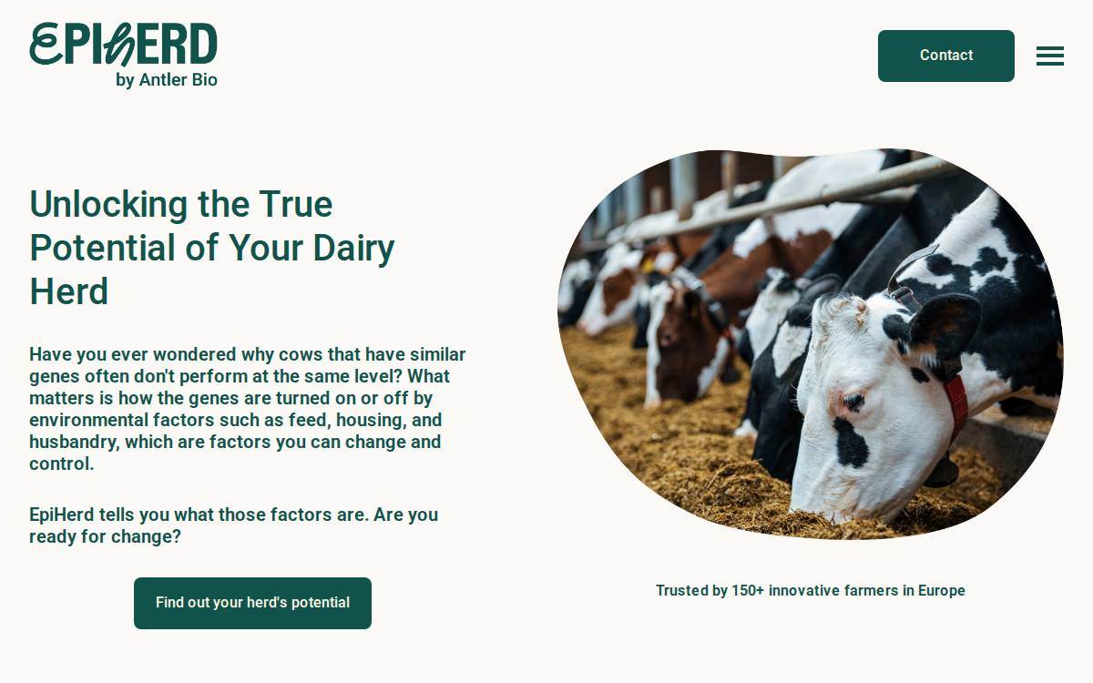 Antlerbio website preview
