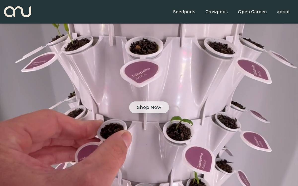 Anu website preview