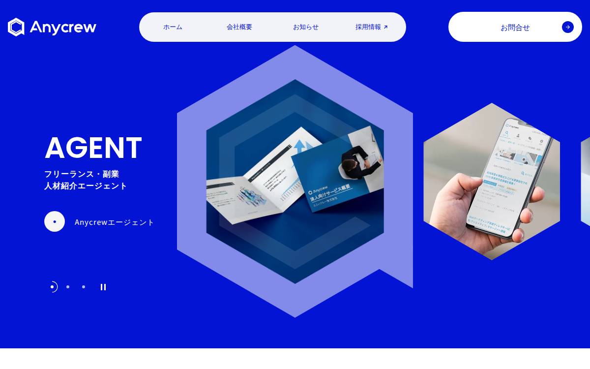 Any Crew website preview