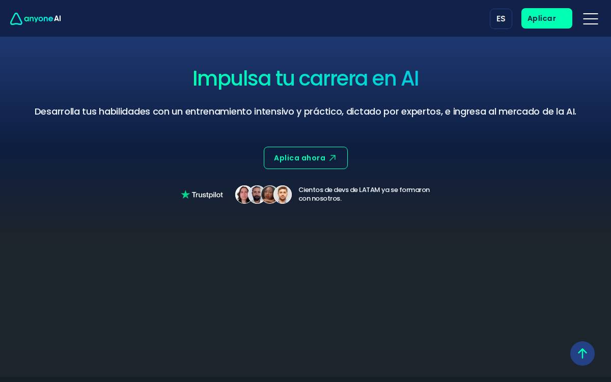 Anyone AI website preview