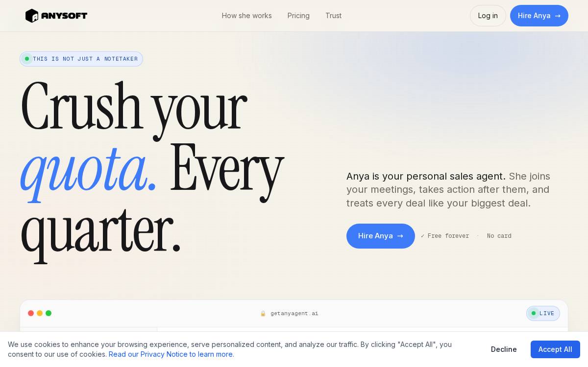 AnySoft website preview