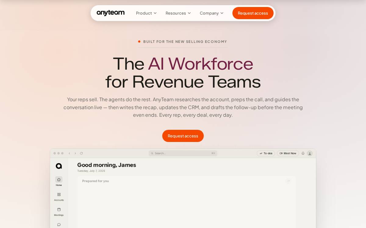 Anyteam website preview