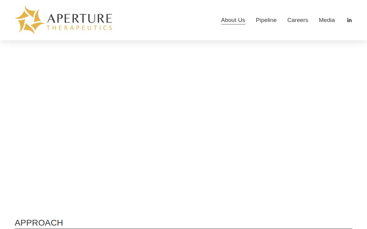 Aperturetx website preview