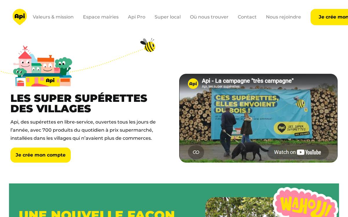 Api website preview