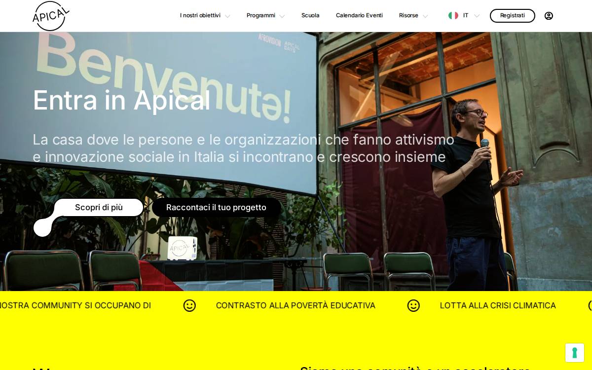 Apical website preview