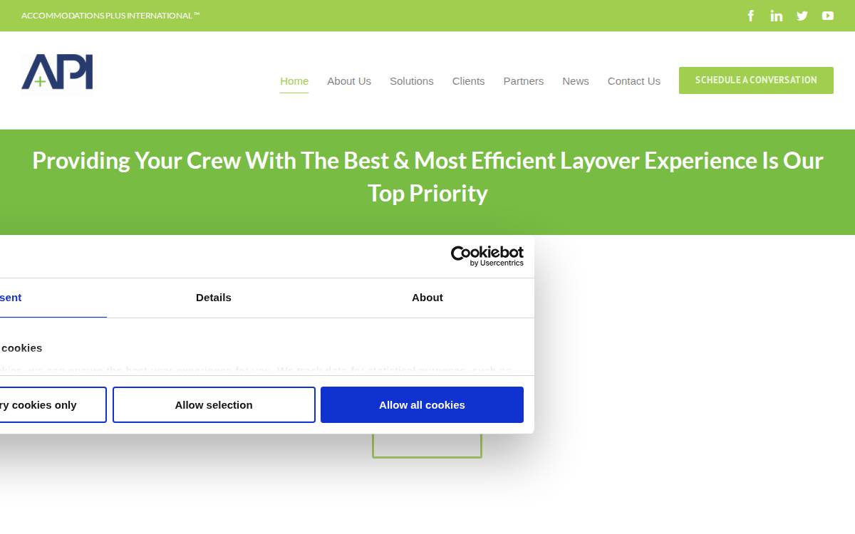Apiglobalsolutions website preview