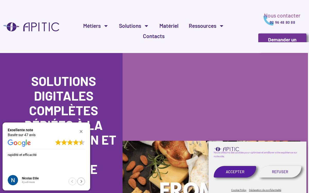 Apitic website preview