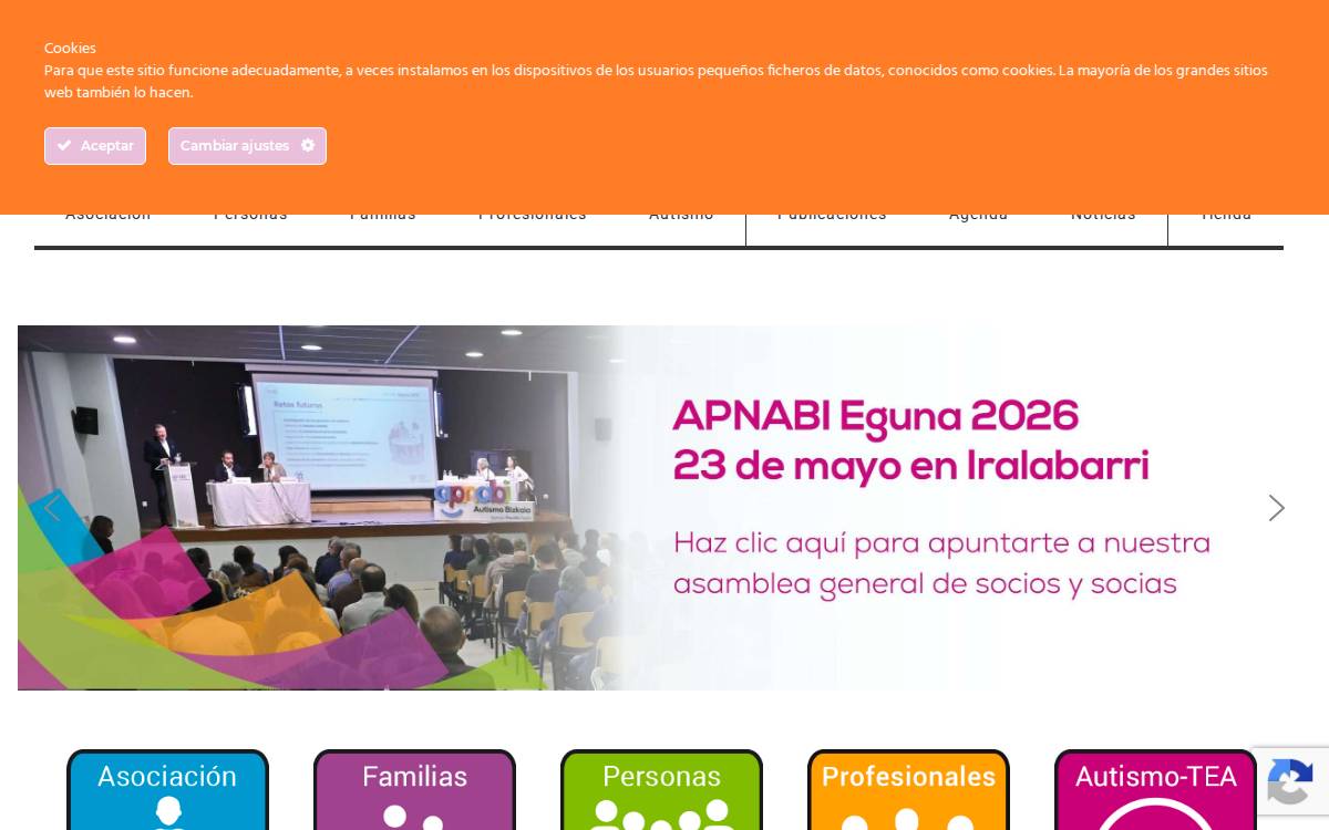 Apnabi lan-Autismo Bizkaia Empleo website preview