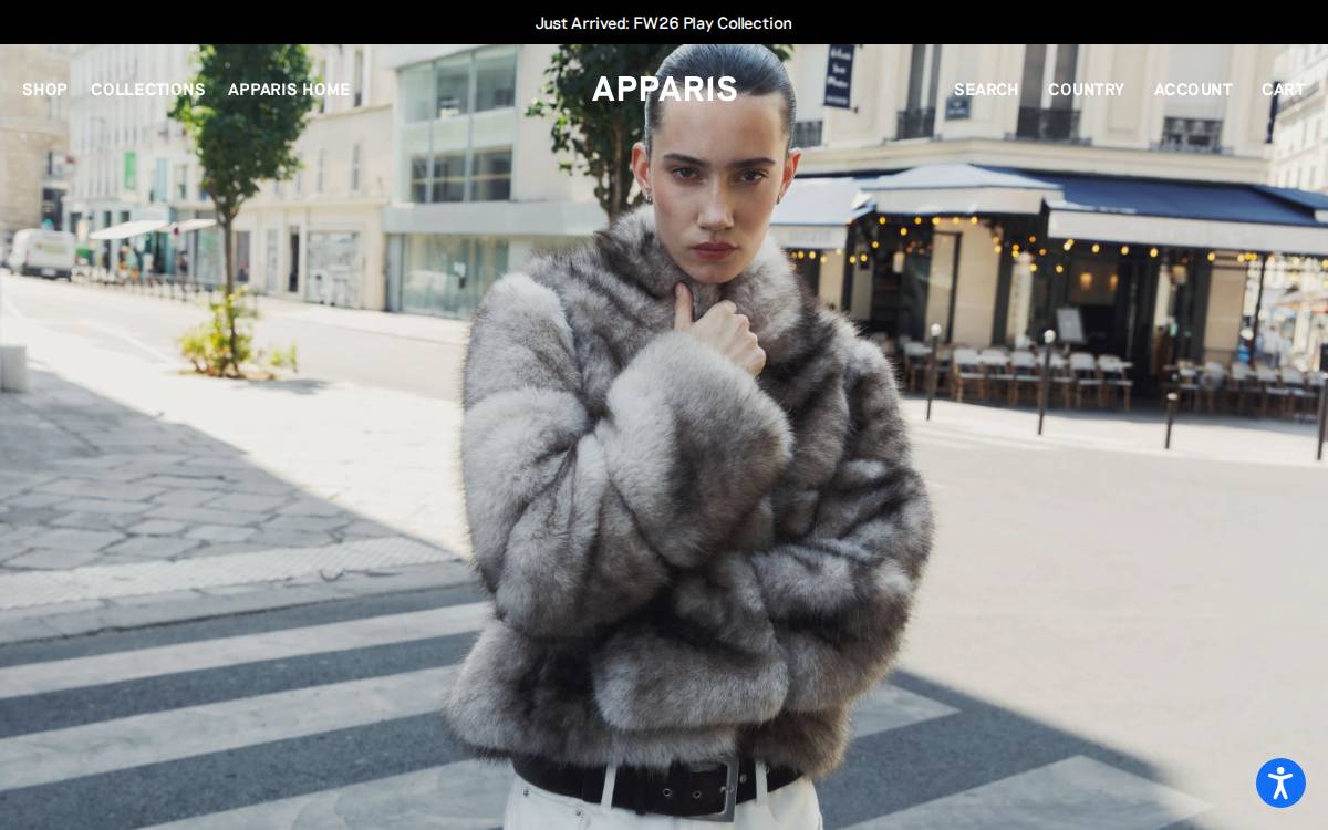 Apparis website preview