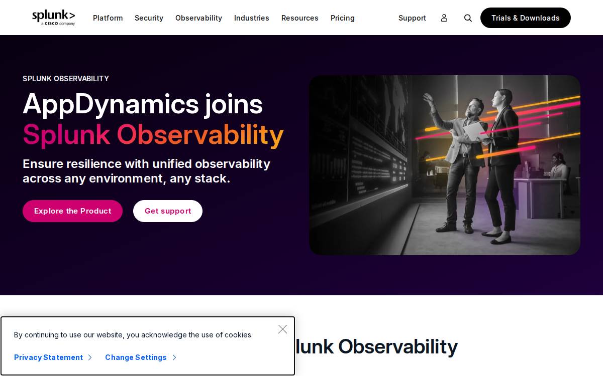 AppDynamics website preview
