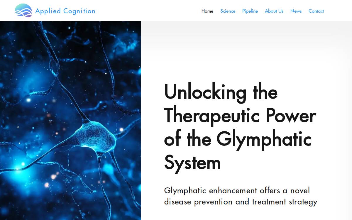 Applied Cognition website preview