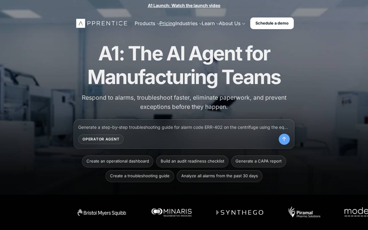 Apprentice website preview