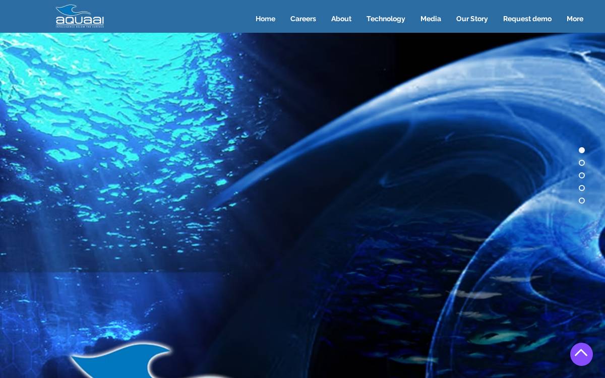 Aquaai website preview