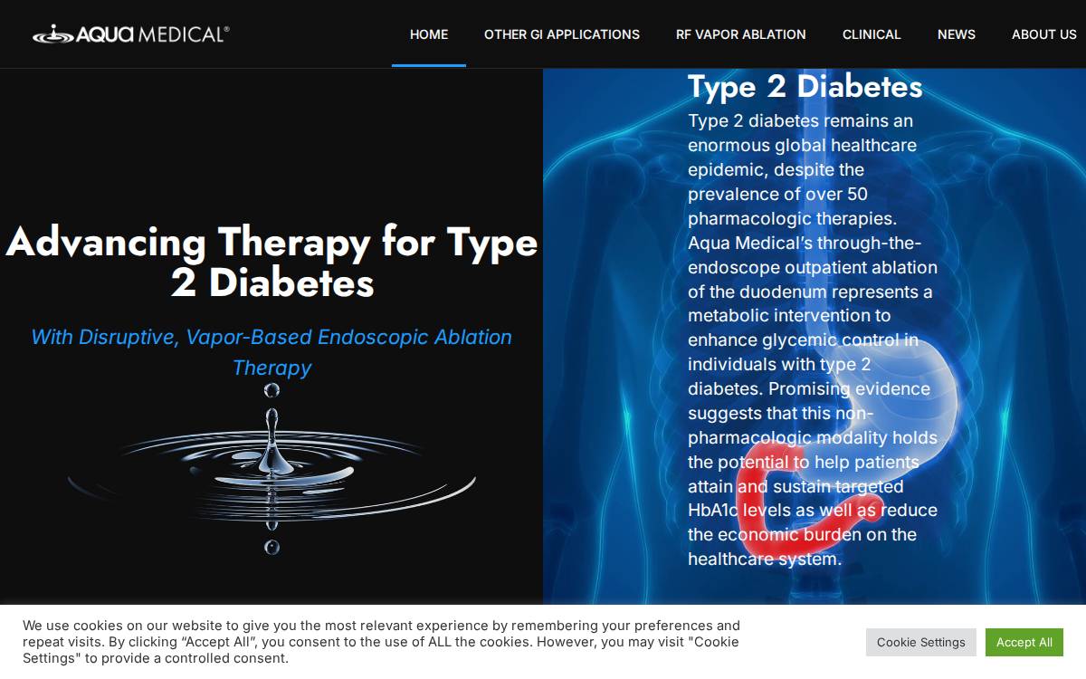 Aquaendoscopy website preview