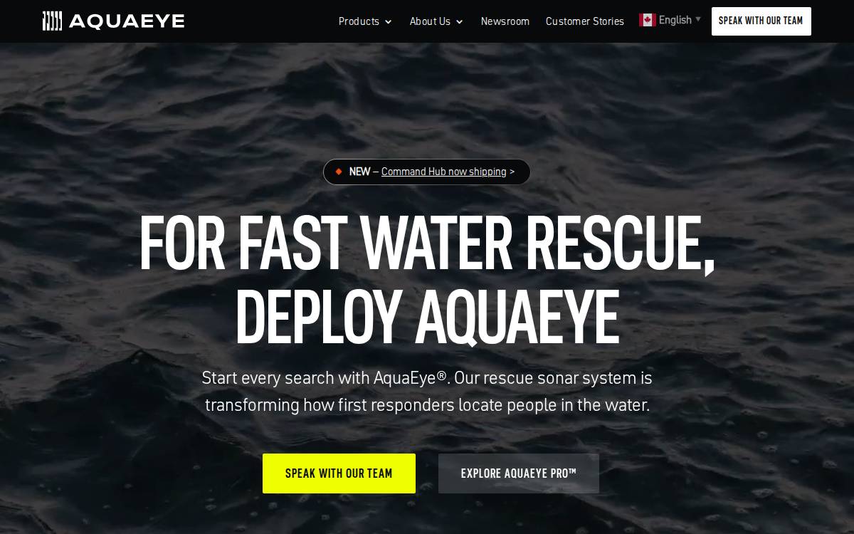 AquaEye Inc. website preview
