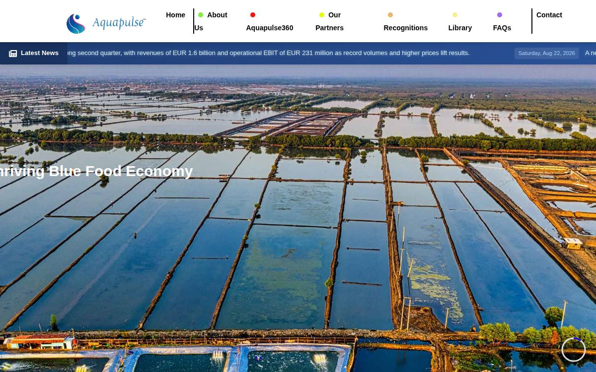 aquapulse website preview