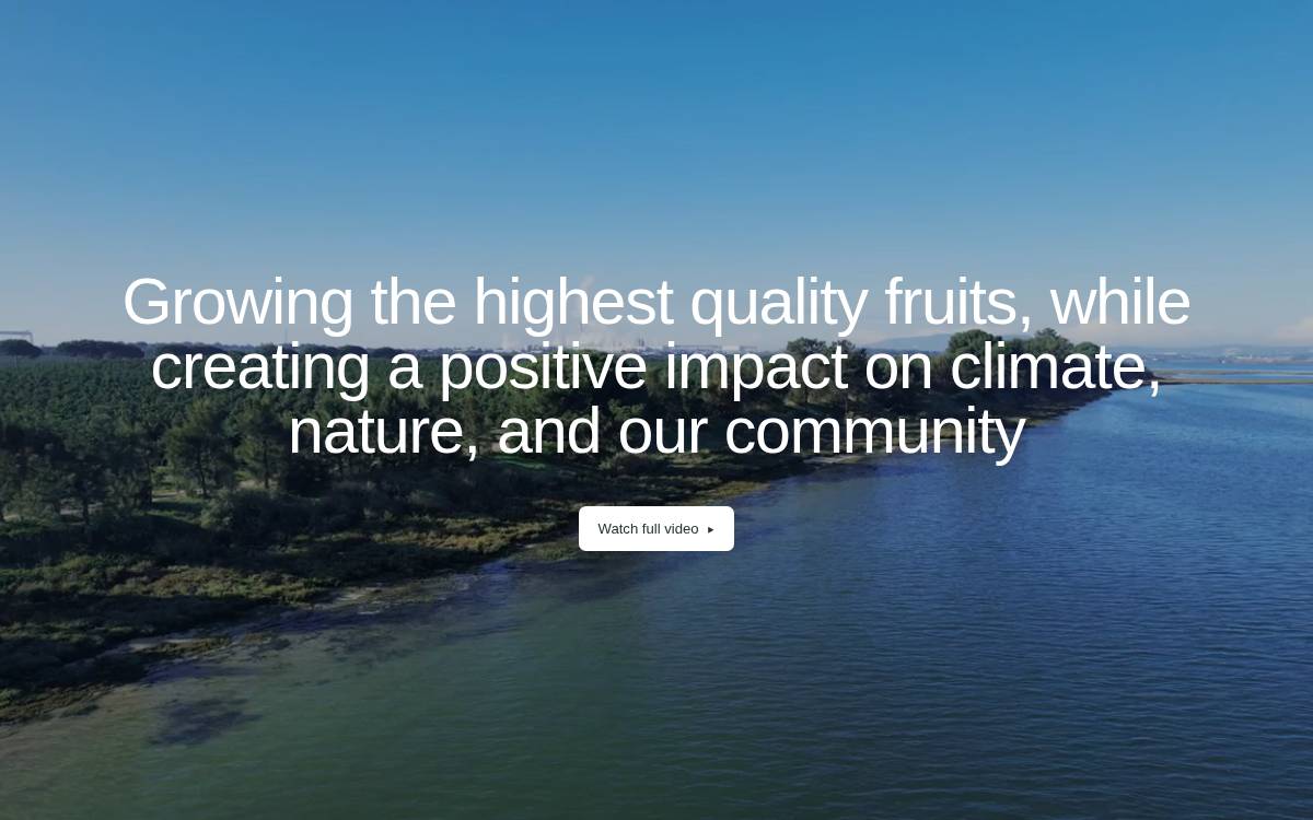 Aquaterra website preview
