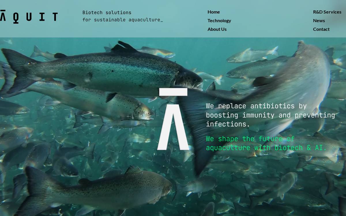Aquit website preview