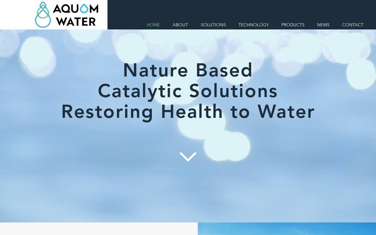 AquOm website preview