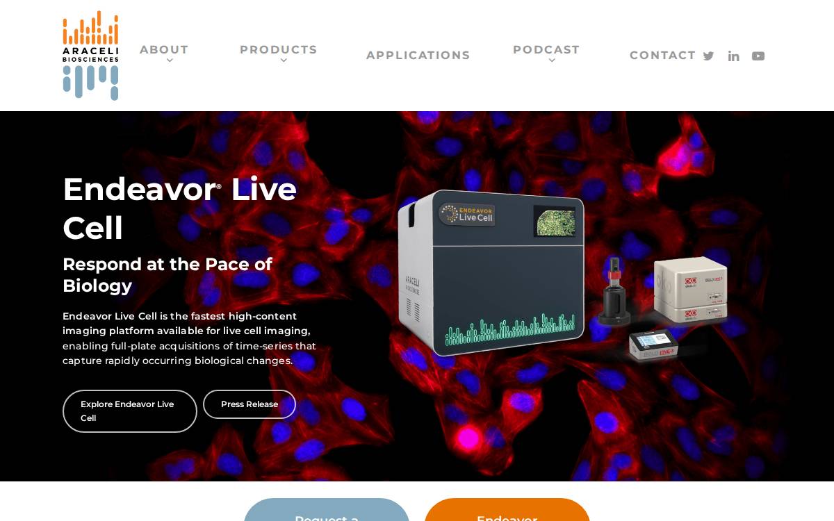 Araceli Biosciences website preview