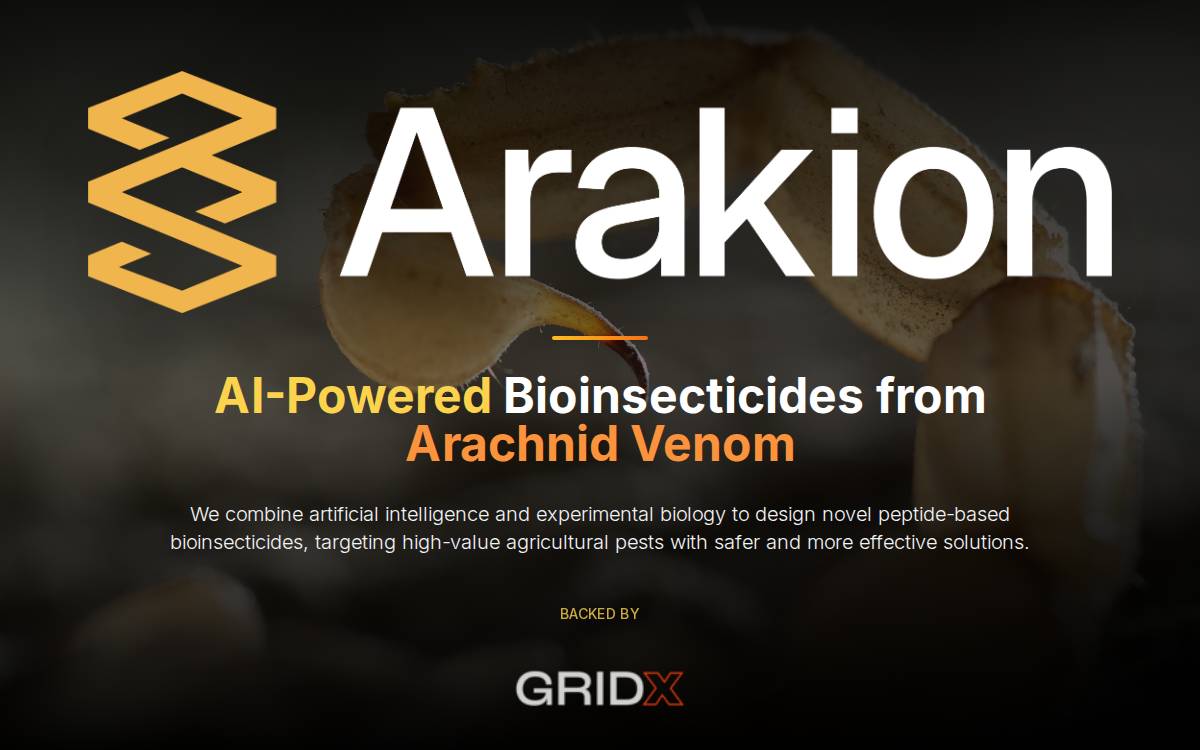 Arakion website preview