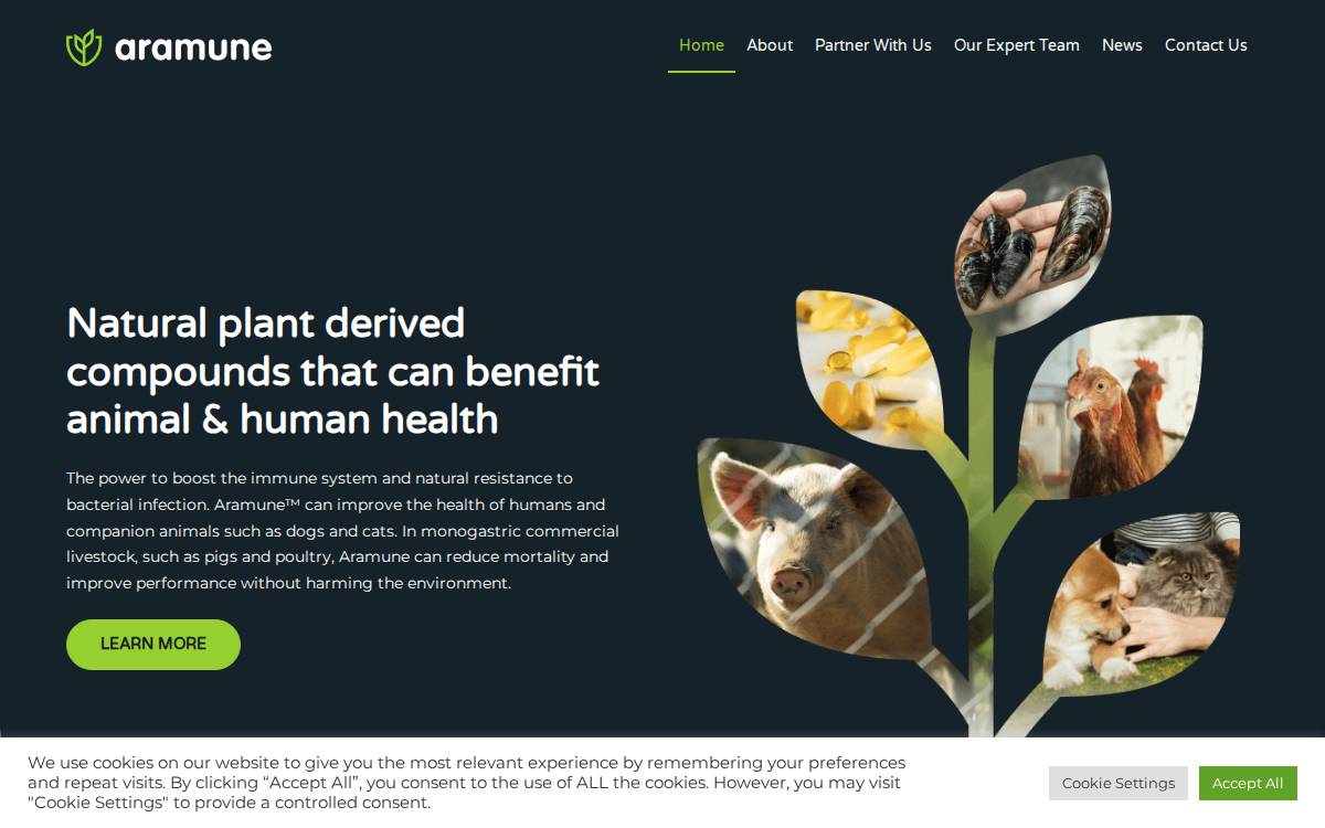 Aramune website preview