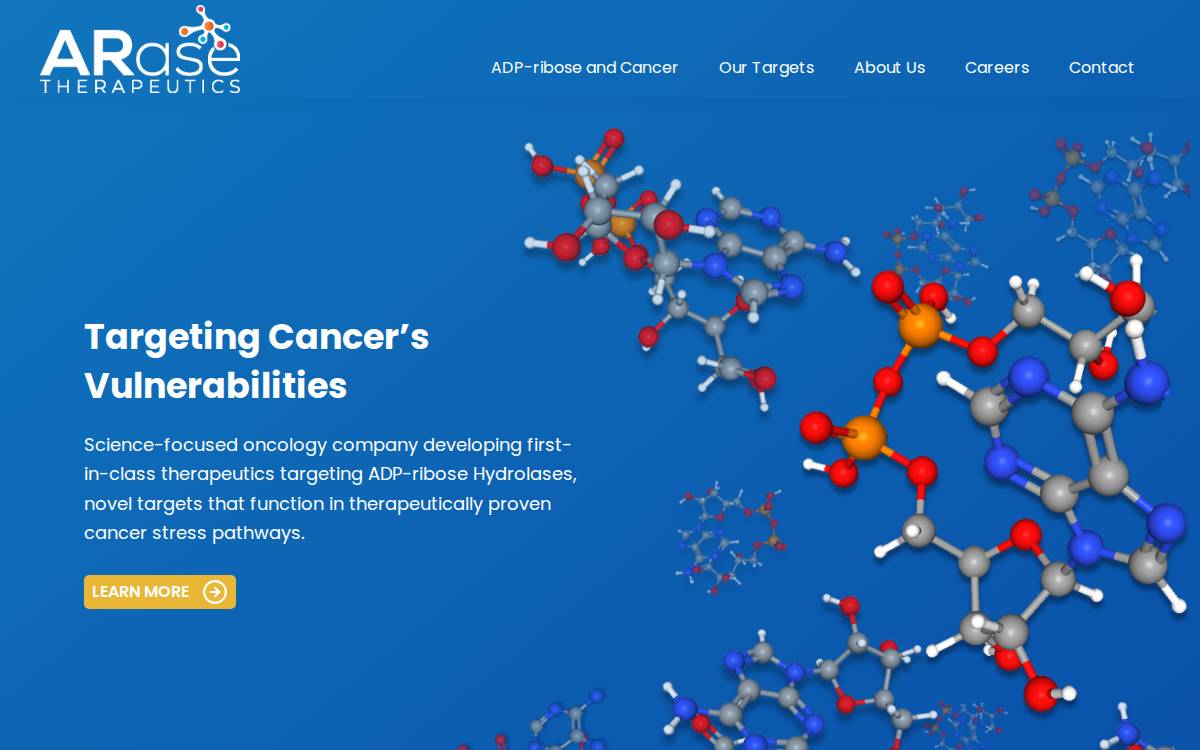 ARase Therapeutics website preview