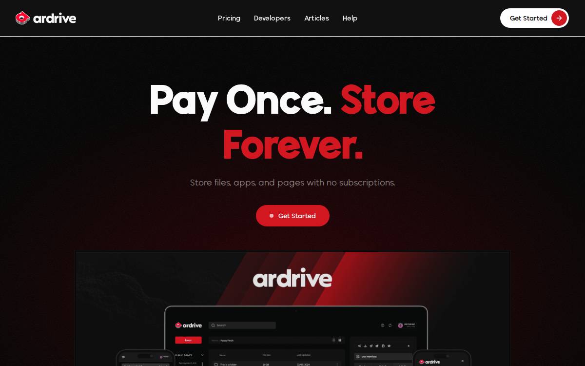 ArDrive Decentralized infra Seed website preview