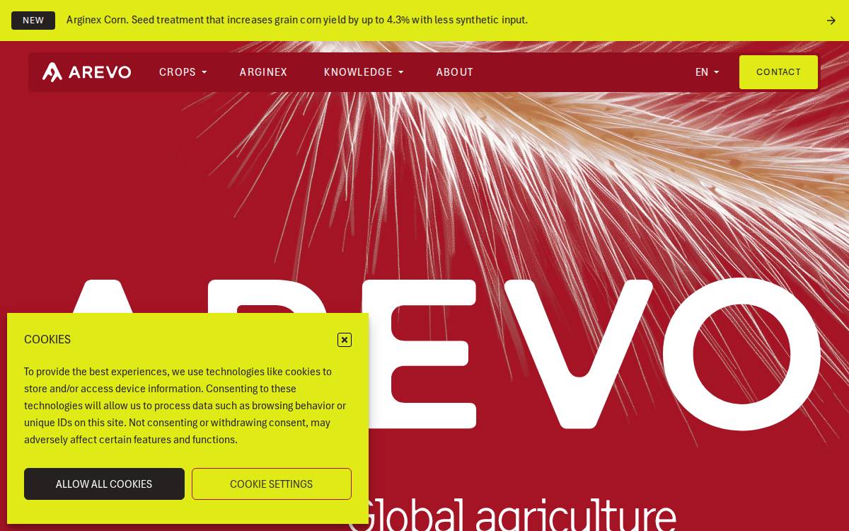 Arevo website preview