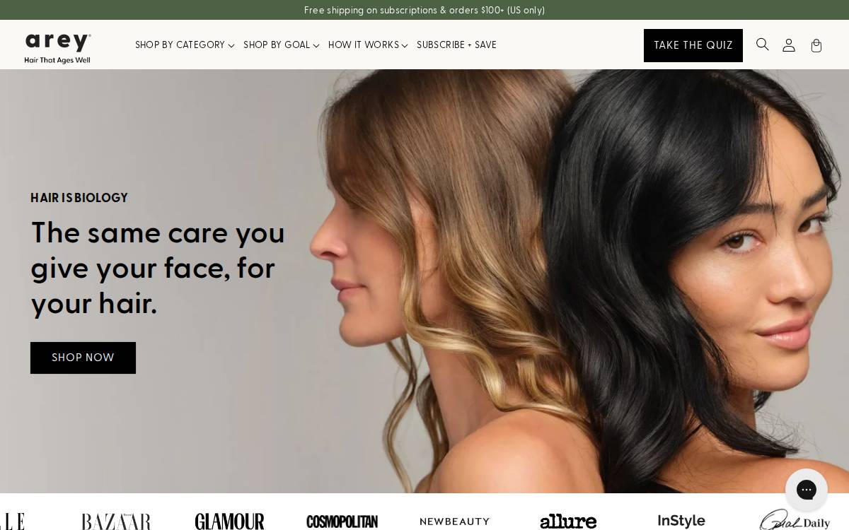 Arey website preview