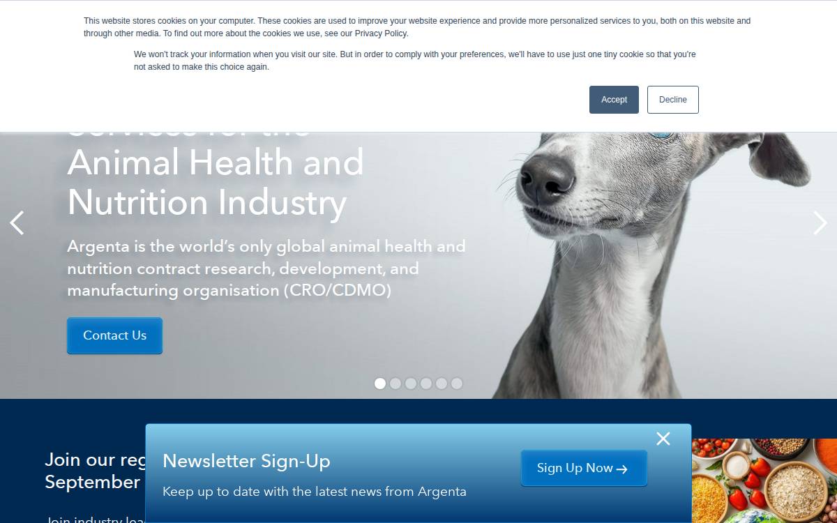 Argentaglobal website preview