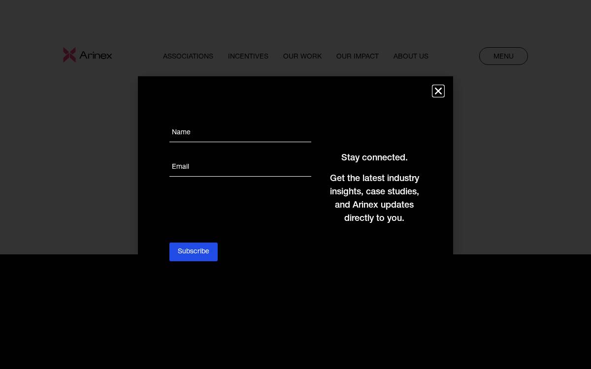 Arinex website preview