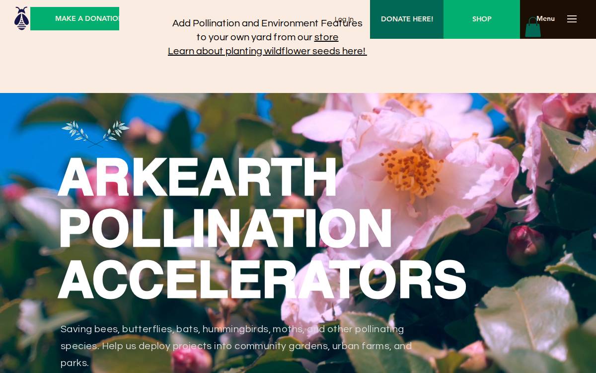 Arkearth website preview