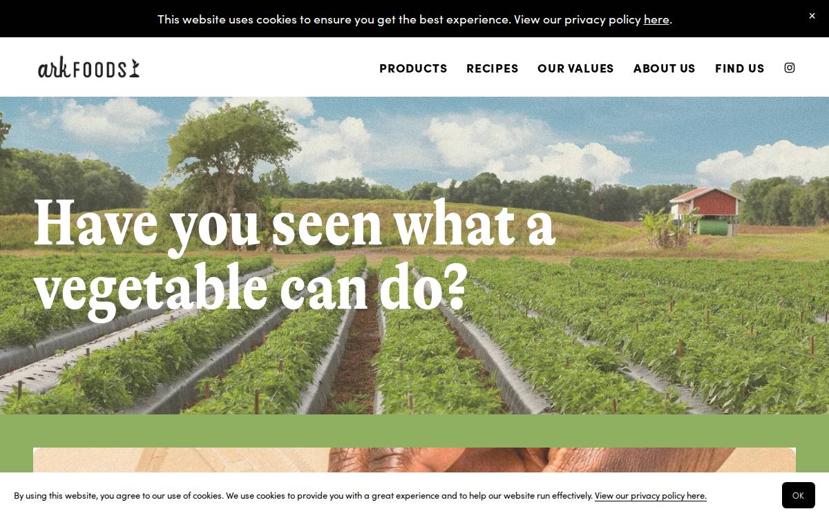 Ark Foods website preview