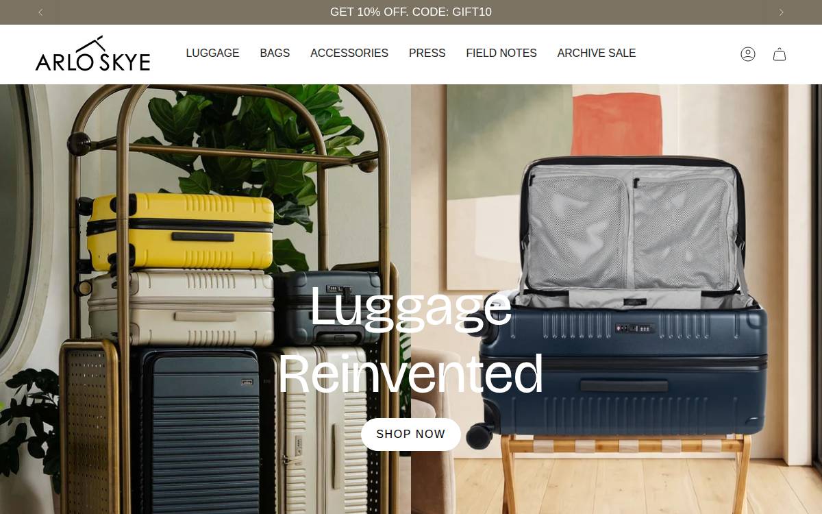 Arlo Skye website preview