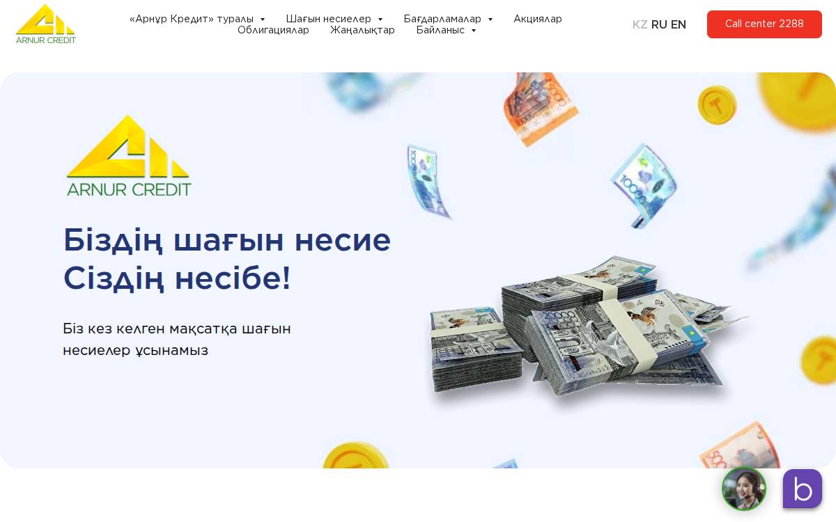 Arnur Credit website preview