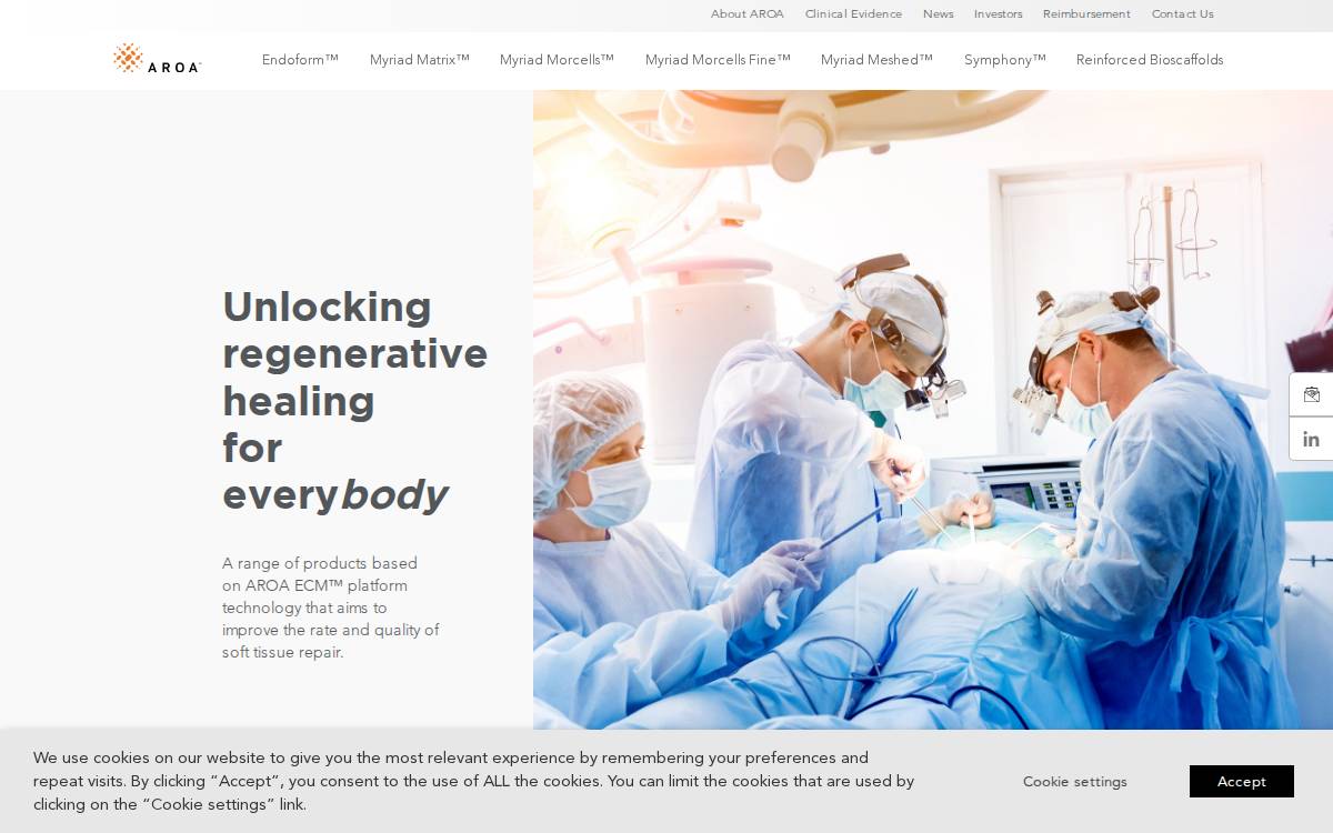 Aroa website preview
