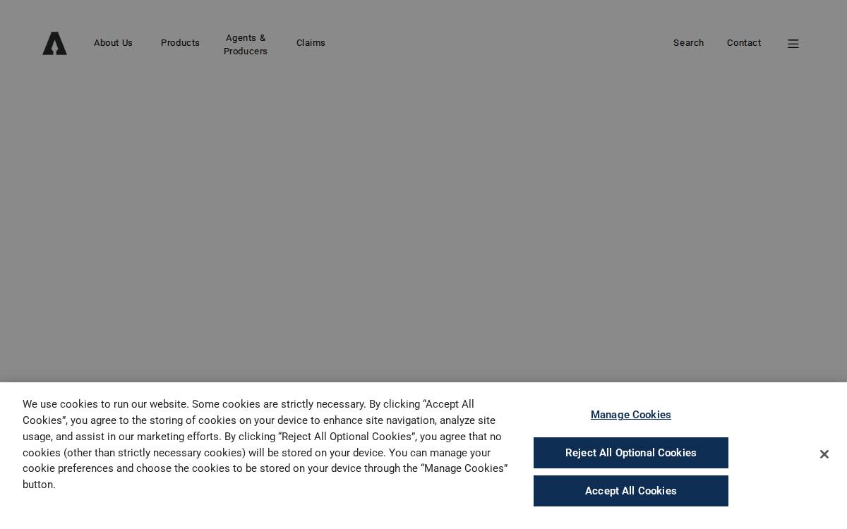 Arrowhead website preview